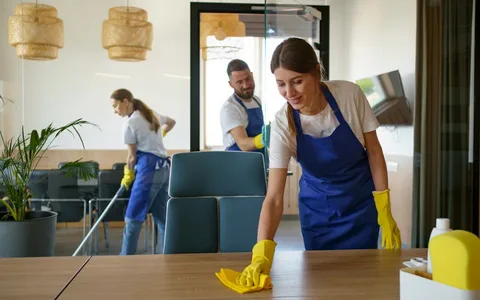 Professional Cleaning Services 