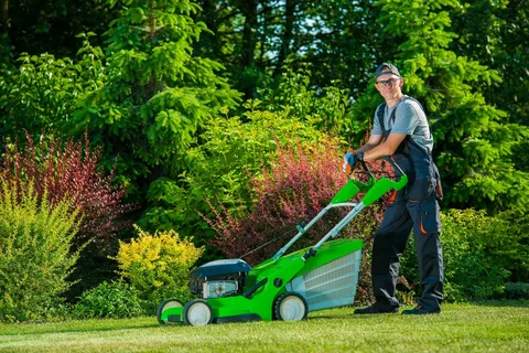 Lawn Maintenance Services