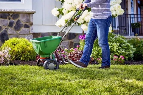 Professional Lawn Maintenance Services
