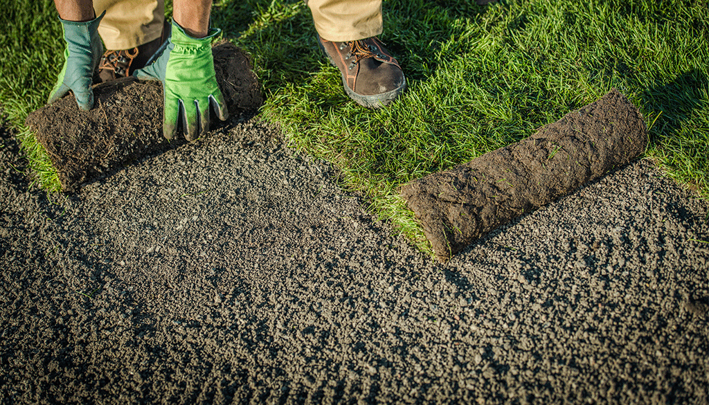 Sod Installation Services 