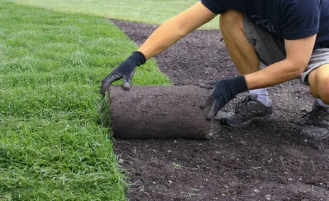 Hiring a Sod Installer