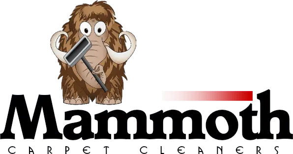 Mammoth Cleaners Inc