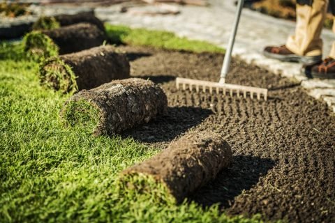 Sod Installation Services In El Mirage, AZ