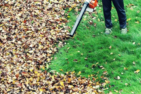 One-Time Yard Cleanups Services In Glendale, AZ