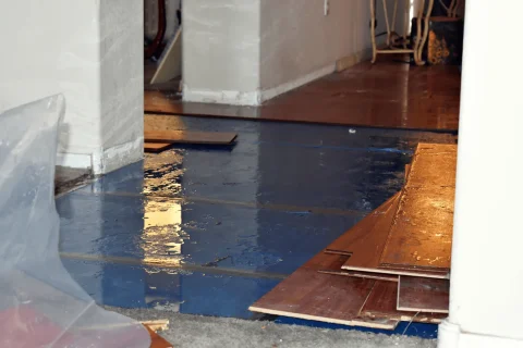 How-To-Dry-Out-Water-Damage-1920w Water damage restoration Services In Edmonds, WA