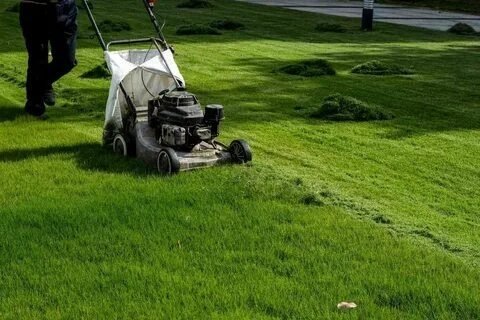 Lawn Maintenance Services Lawn Maintenance Services