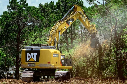 Forestry Services In Pitkin County, CO