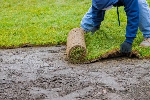Sod Installation Services