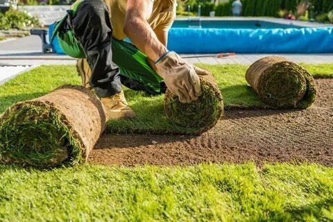 Sod Installation Servicess Sod Installation Servicess