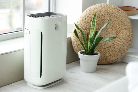 air-purifier (1) Affordable HVAC Maintenance Service In Roseville, CA