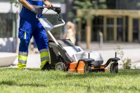 Landscape Maintenance Services In Phoenix, AZ