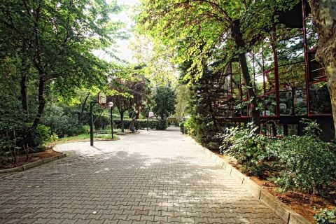 e8c7488d0235509f90138938aacb850e