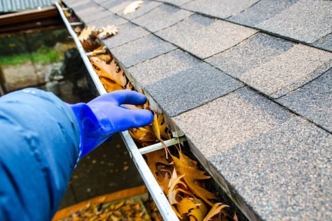 how-to-know-if-gutters-need-cleaning-1695892206