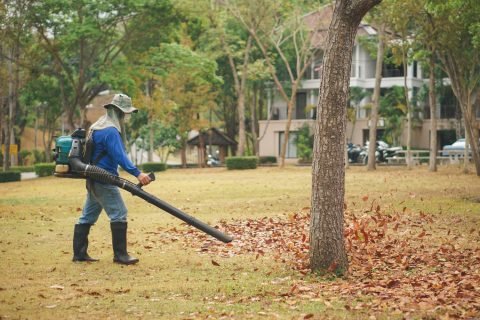 One-Time Yard Cleanups Services In El Mirage, AZ