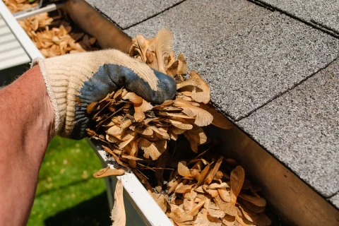 Gutter Cleaning Service In Love land, CO