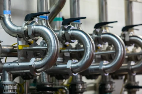 shutterstock_1601761603