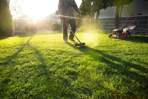 Lawn Care & Lawn Maintenance Services In El Mirage, AZ