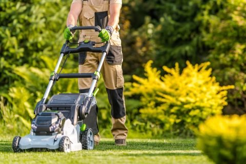 szalkay (2) Lawn Maintenance Services In Hollywood, FL