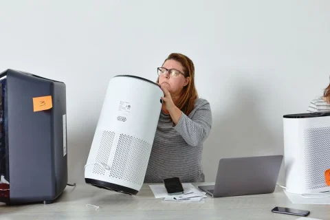 Whole Home Air Purification Service In Elk Grove, CA